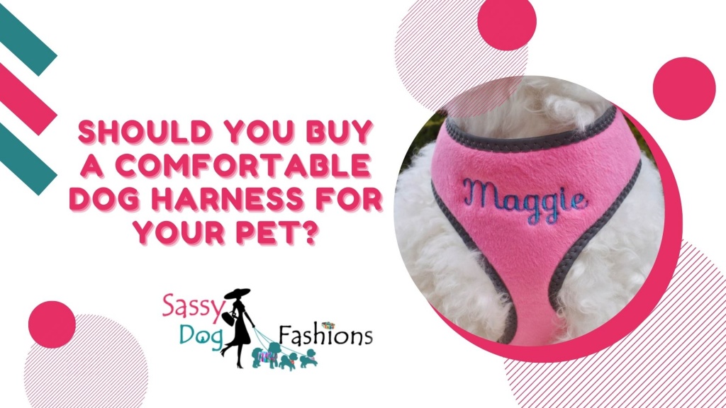 Should you buy a Comfortable Dog harness for your pet