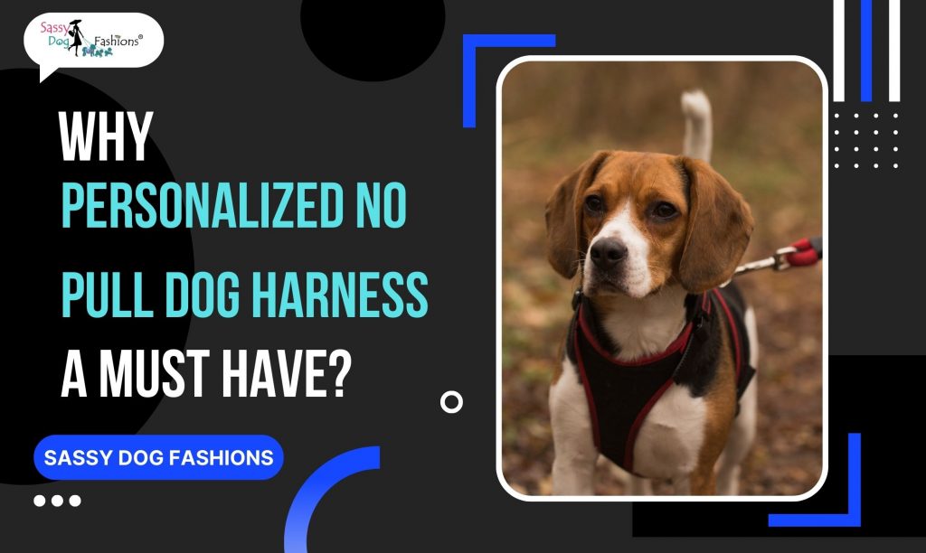 Why Personalized No Pull Dog Harness a Must Have