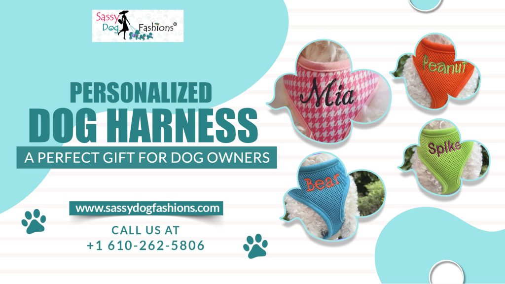 Personalized-Dog-Harness-Sassy-Dog-Fashions-Blog