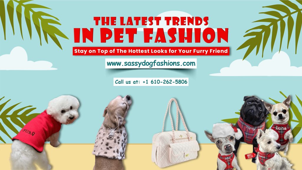 The Latest Trends in Pet Fashion: Stay on Top of The Hottest Looks for Your Furry Friend