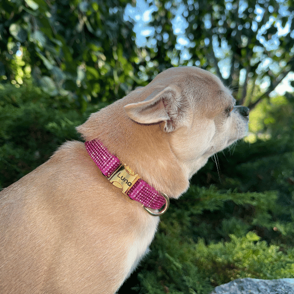 Bling Rhinestone Dog Leash - Soft Suede Style Leash For Small Dogs Like Chihuahuas