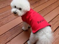 Customizable Embroidered Fleece Dog Sweater - 16 Solids + Prints