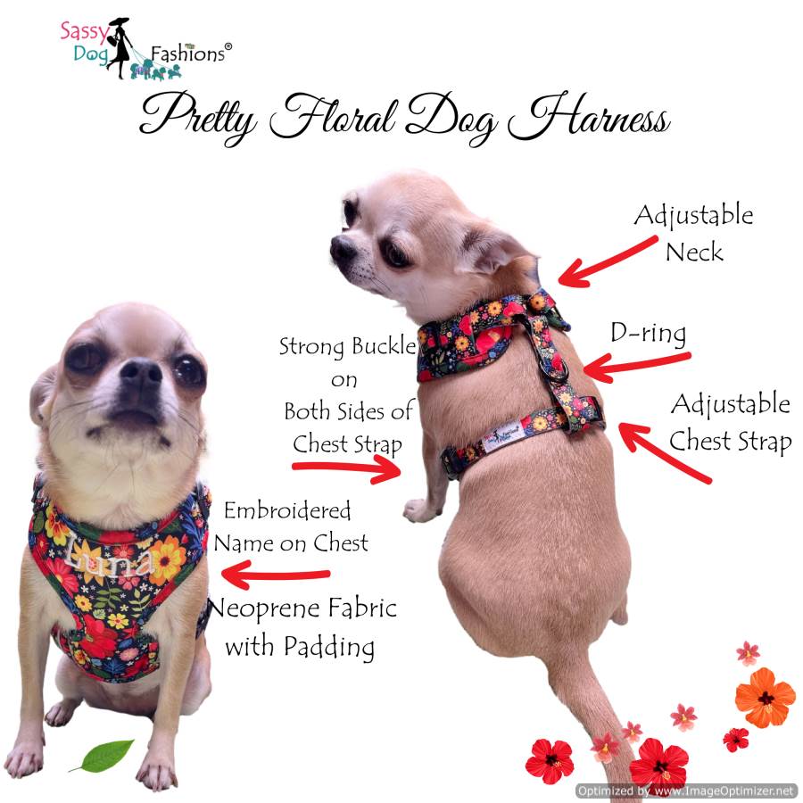 Lupine 1" Big Dog Collars: Bling Bonz