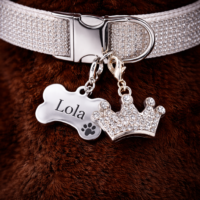 Princess Rhinestone Crown Dog Collar Charm, Bling Crown Jewelry Gift for Dogs and Cats