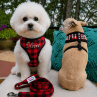 Custom Red Buffalo Plaid Dog Harness–Crystal Rhinestone Bling & Embroidery–Leash