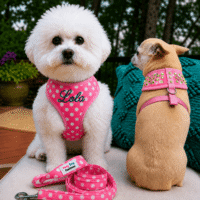 Pink Dot Personalized Sparkly Rhinestone Bling Dog Harness - Leash - Embroidered Name