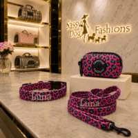 Pink Leopard Personalized Pet Dog Collar - Leash - Poop Bag Holder Set