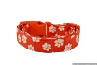 Handmade Burnt Orange Paw Print Pet Theme Dog Collar with Personalization Name Option in All Sizes