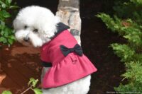 Bella & Friends Fuchsia Boucle Cold Weather Designer Custom Dog Coat with Cozy Plush Interior for Small and Medium Dogs