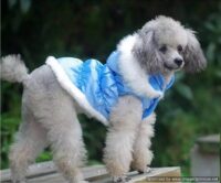 Classy Blue Warm Winter Rain Coat Jacket for Small to Medium Dogs and Puppies