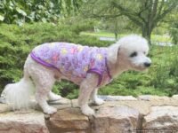 Warm and Soft PURPLE Plush Fleece Paw Print Dog and Puppy Pullover Sweater
