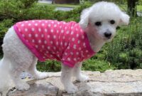 Warm and Soft Pink Print FLEECE Dog Sweater for Small Dogs, Winter Dog Clothes