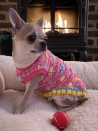 Warm Plush Paw Print Pet Theme Sweater for Dogs, Fancy Handmade Fleece Dog Sweater for Girls