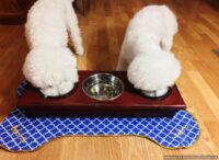 Personalized Blue Geometric Bone Dining Mat Rug, Dog Placemat for Food Bowls