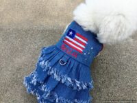 Personalized Distressed Patriotic Stars n' Stripes Fringe Holiday Dog Denim Dress