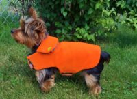 Field Coat and Hunting Orange Dog Coat with Reversible Camouflage Interior for Sport Dogs