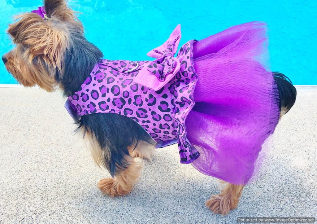 Buy Purple Diva Tutu Dress from our Dog Couture Collection | Sassy Dog  Fashions
