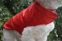 Customizable Waterproof Comfort Dog RAINCOAT in Multiple Color Choices in All Sizes