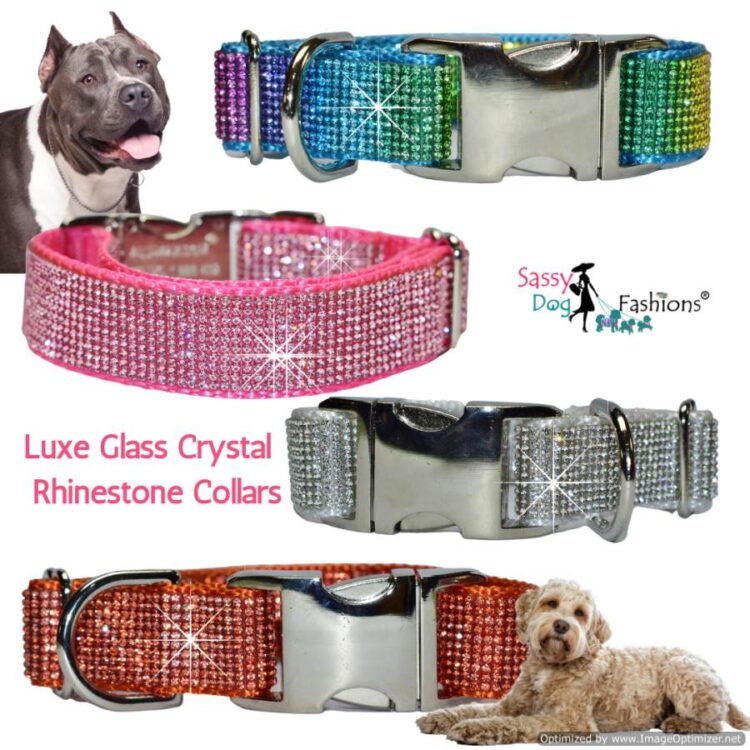 Crystal Bling Rhinestone Dog Collar