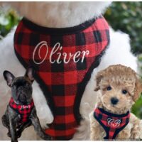 Custom Personalized Red Buffalo Plaid Dog Harness - Leash