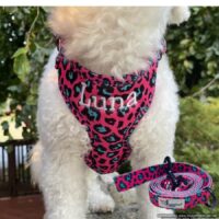Custom Pink Leopard Personalized Dog Harness Set - Leash - Collar - Poop Bag Holder
