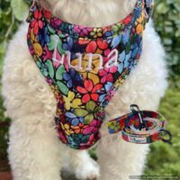 Floral Personalized Dog Harness Set - Collar - Leash - Poop Bag Holder