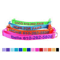 Customizable ID Dog Collar for Dog Identification with Matching Leash Option, Embroidered Dog Collar Name and Phone Number