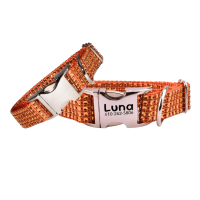 Engraved Sparkling Orange Resin Rhinestone Personalized Dog Collar