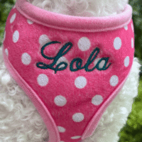 Pink Dot Personalized Dog Harness - Leash - Embroidered Name