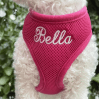 Personalized Pink Air Mesh Dog Harness - Embroidered Name - Leash