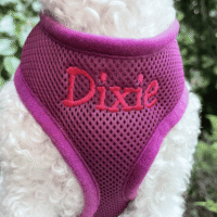 Personalized Purple Air Mesh Pet Dog Harness - Embroidered Name - Leash