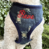 Custom Embroidered Distressed Denim Soft DOG HARNESS - Leash
