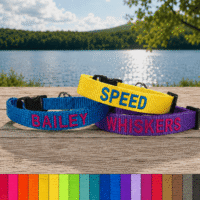 Personalized Safety Cat Collar - Breakaway Buckle and Bell - 20 Colors