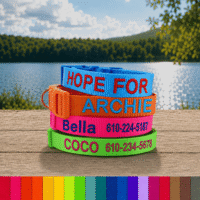 Emrboidered ID Dog Collar for Dog Identification - Name Text - Phone Number - Leash