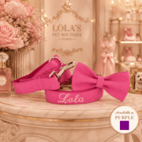 Customizable Purple or Pink Faux Suede DOG COLLAR Leash - Bow Tie - Set
