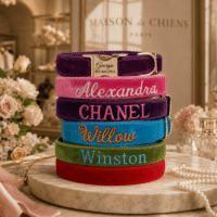 Engraved or Embroidered Velvet Designer Dog Collar - 6 Colors - Leash