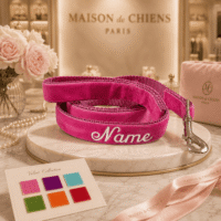 Customizable Velvet Designer Dog Leash in Multiple Colors