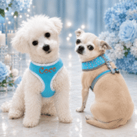 Custom Embroidered Blue Plush Reflective Pet DOG Harness - Crystal Bling - Leash