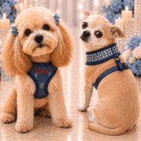 Custom Embroidered & Sparkly Rhinestone Denim Soft DOG HARNESS - Leash
