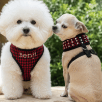 Luxury Red Houndstooth Plaid Embroidered Dog Harness - Crystal Rhinestone Bling - Leash