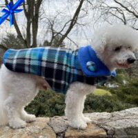 Customizable Classical Blue Plaid Warm Fleece Dog Coat for Winter in All Sizes and Tailoring for Hard to Fit Dogs