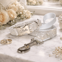 Engravable White Crystal Wedding Dog Collar - Leash