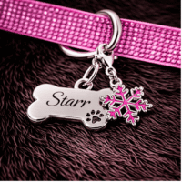 Pink Snowflake Dog Collar Charm