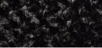 Black Swirls