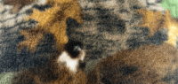 Camouflage