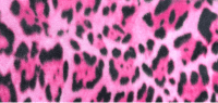 Pink Leopard