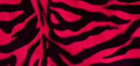 Cerise Zebra