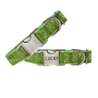 Custom Personalized Sparkling Lime Glitter Dog Collar + Leash