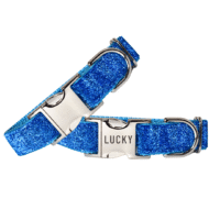 Custom Personalized Sparkling Blue Glitter Dog Collar + Leash