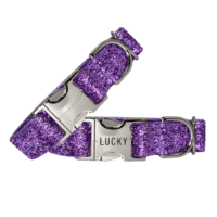 Custom Personalized Sparkling Purple Glitter Dog Collar + Leash